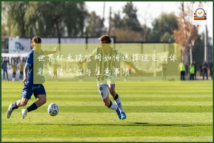 世界杯竞猜官网如何选择适合的体彩竞猜流程与注意事项